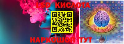 эйфоретик Бердск