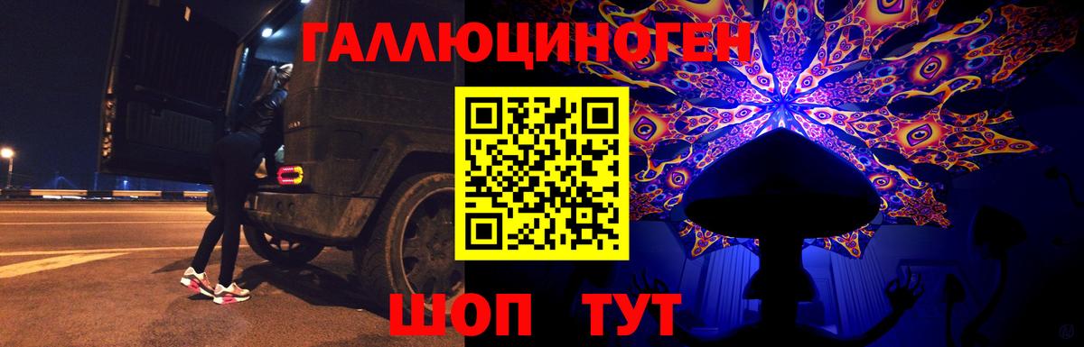 Альметьевск  хочу   Вход с VPN  Галлюциногенные грибы Psilocybe 